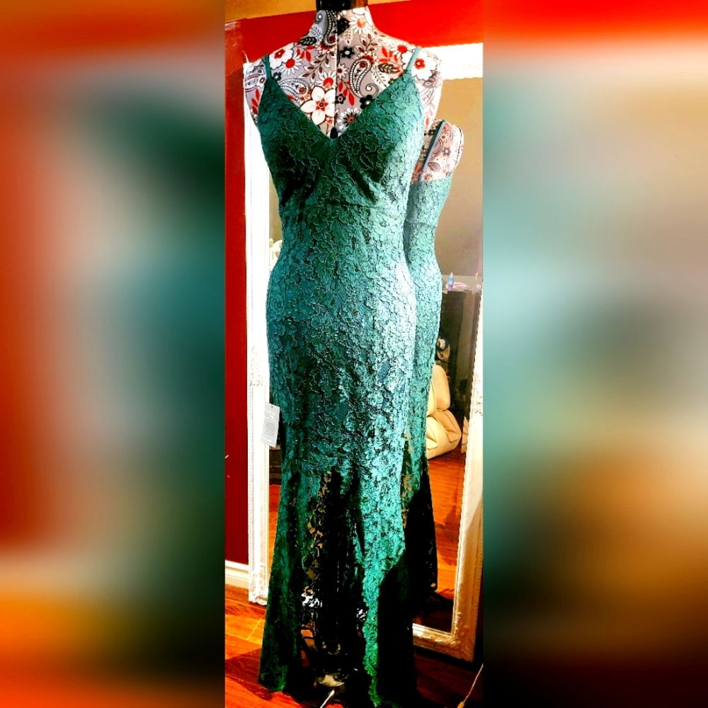 NWT Beautiful Lace Jade Gown by LeChateau